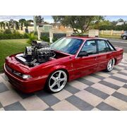 DOOR MOLDINGS FOR VL COMMODORE  SEDAN - VL LE STYLE
